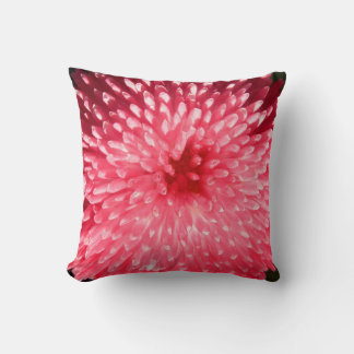 RobRoy 1 Pillows