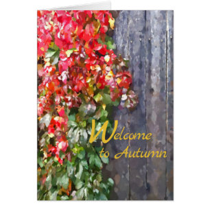 Robust Colours of Fall Leaves Rustic Wooden Fence