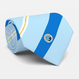 Rochester (Minnesota) city flag Neck Tie