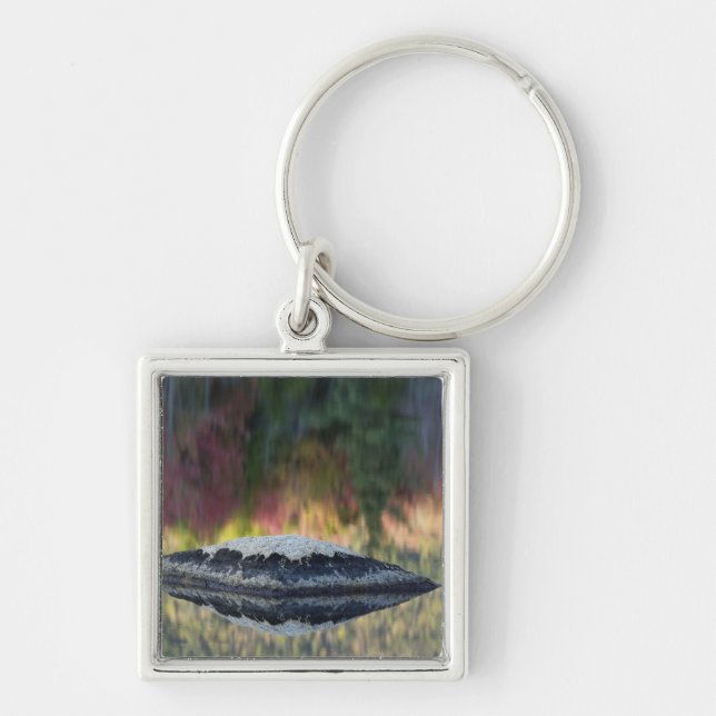 Rock and tree reflection, Lily Pond, White Key Ring (Front)