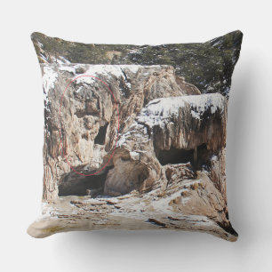 Rock Art - The Art of Nature Cushion