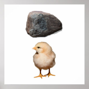 Rock + Chick Poster