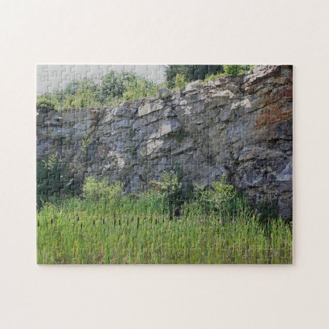 Rock Cliff Wall Cattails Pond Nature  Jigsaw Puzzle (Horizontal)