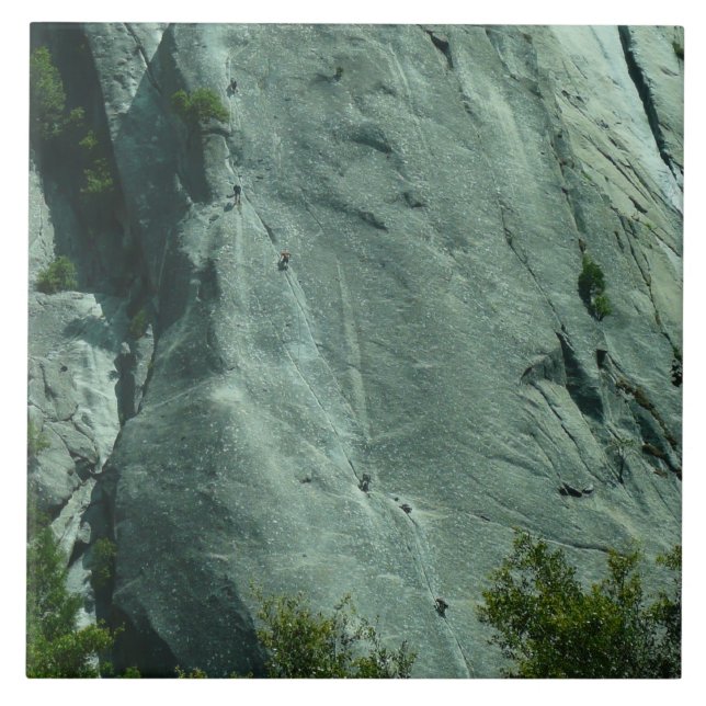 Rock Climbers on El Capitan Tile (Front)