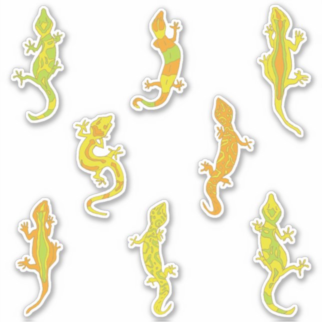 Rock Climbing Geckos. (Front)