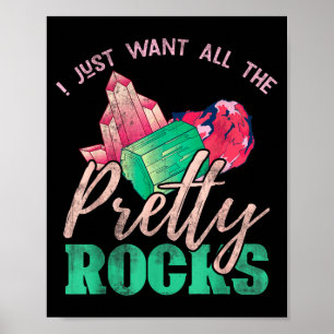 Rock Collector Gift Earth Paleontologist Funny Geo Poster