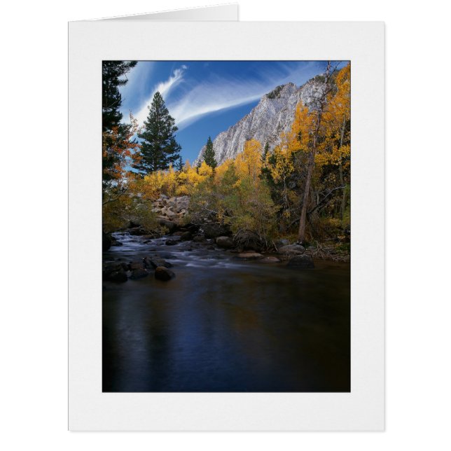 "Rock Creek Canyon Gold" (Front)