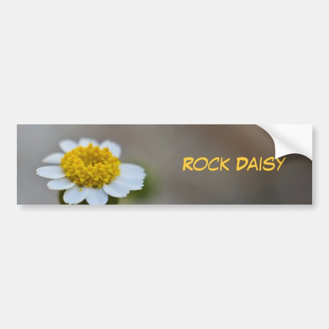 Rock Daisy Bumper Sticker (Front)