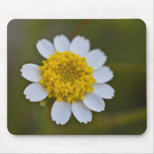 Rock Daisy Mousepad