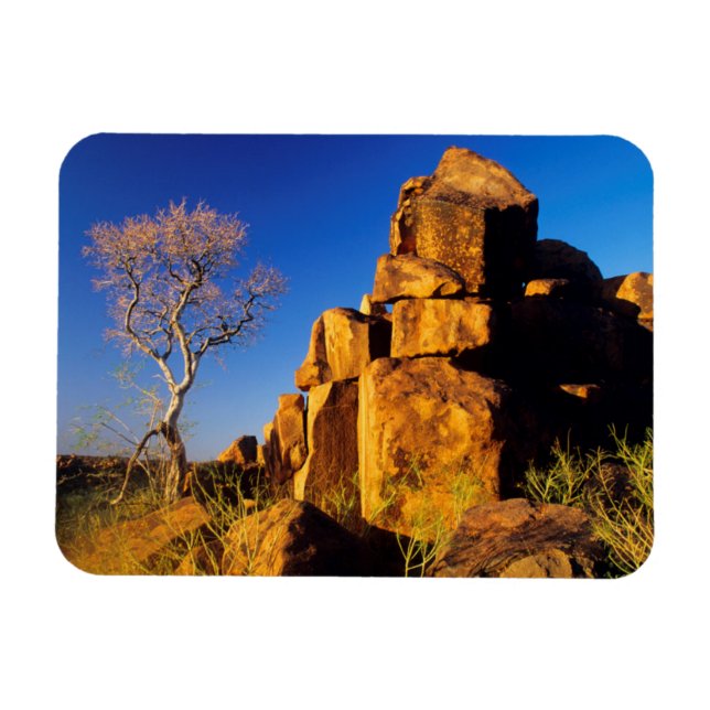 Rock Formation And Tree, Giant's Playground Magnet (Horizontal)