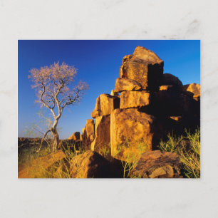 Rock Formation And Tree, Giant's Playground Postcard