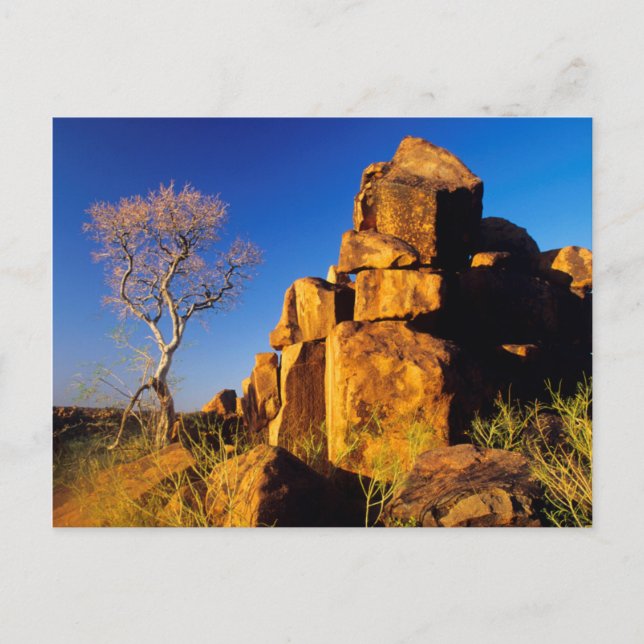 Rock Formation And Tree, Giant's Playground Postcard (Front)