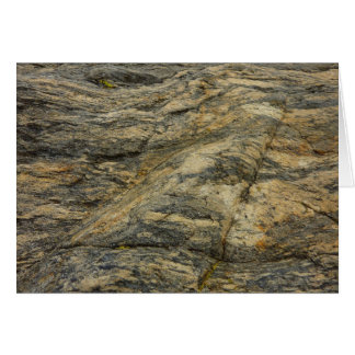 Rock from Joshua Tree Abstract Nature Photography