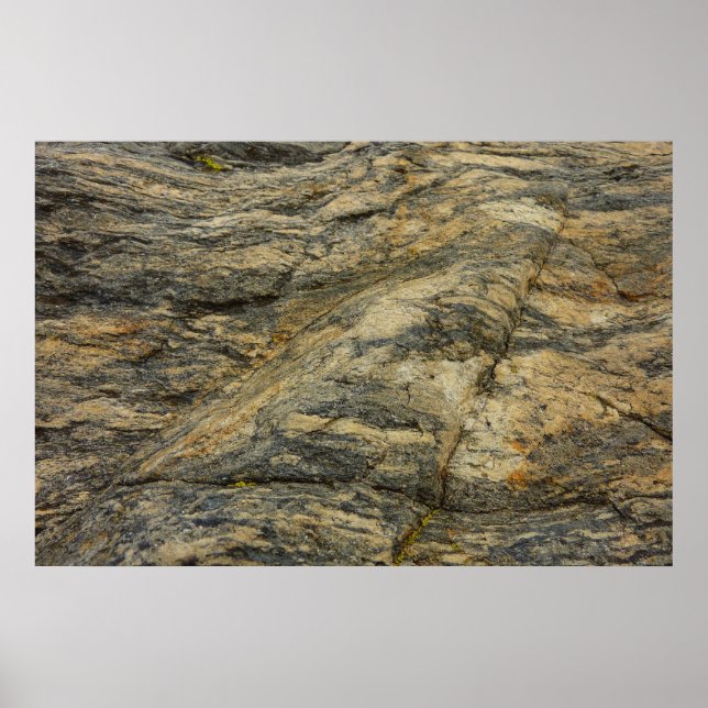 Rock from Joshua Tree Abstract Nature Photography Poster (Front)