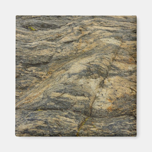 Rock from Joshua Tree Brown Grey Natural Abstract Magnet (Front)