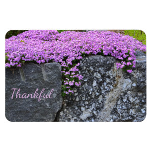 Rock Garden Gratitude Magnet