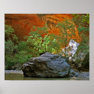 Rock in the River Poster
