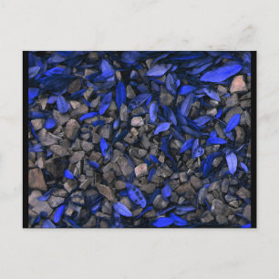 "Rock 'n Blues" JTG Art Postcard
