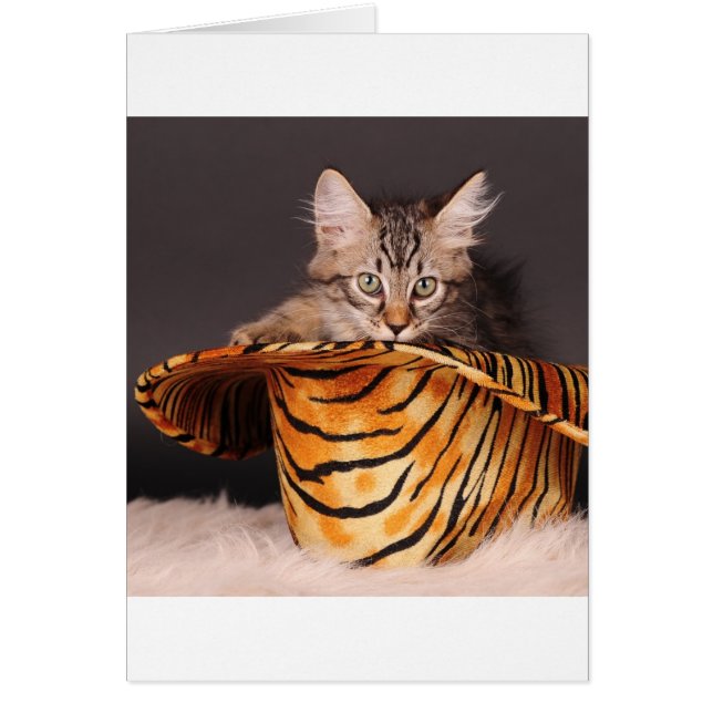 Rock n' Roll Kitty (Front)