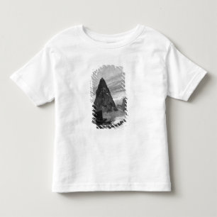 Rock of the Little Orphan on the Yangtze River Toddler T-Shirt