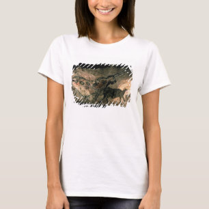 Rock painting of a horned animal, c.17000 BC (cave T-Shirt