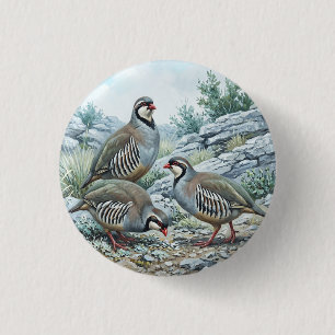 Rock Partridge ,Alectoris Graeca Hunting Birds 3 Cm Round Badge