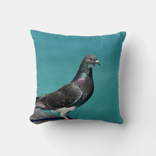 Rock Pigeon Cushion