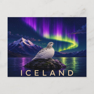 Rock Ptarmigan Under the Aurora   Iconic Iceland Postcard