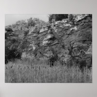 Rock Quarry Cliff Cattails 2 Black And White 