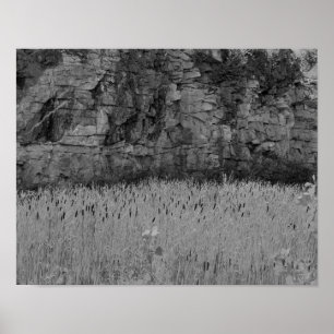 Rock Quarry Wall Cattails 1 Black And White Poster