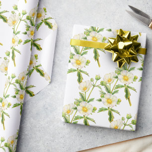 Rock rose art floral white green wildflower wrapping paper
