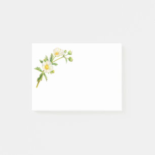 Rock rose white flowers art post it notes