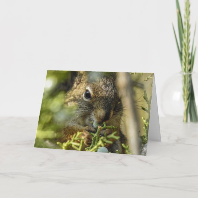 Rock Squirrel Notecard (Front)