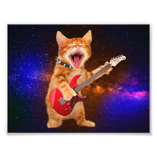 Rock star cat photo print