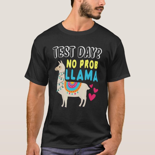 Rock The Test Day Llama Teacher Exam Testing Teach T-Shirt (Front)