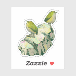 Rock Wren birds New Zealand