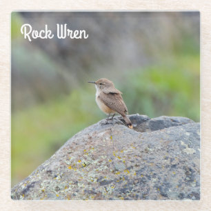 Rock Wren Glass Coaster