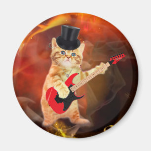 Rocker cat with top hat and guitar magnet