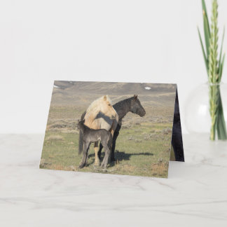Rocket's Family Greeting Card
