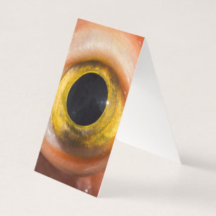 Rockfish Eye