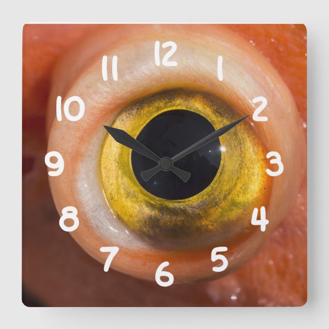 Rockfish Eye Square Wall Clock (Front)