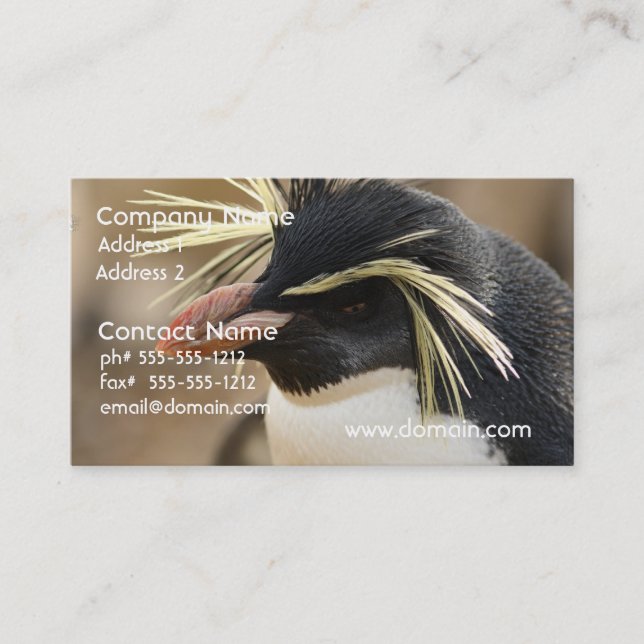 Rockhopper Penguin  Business Cards (Front)