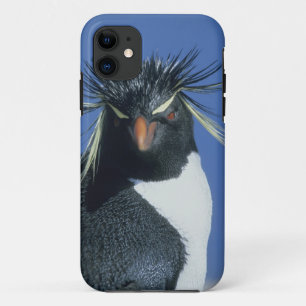 Rockhopper Penguin (Eudyptes chrysocome) Case-Mate iPhone Case