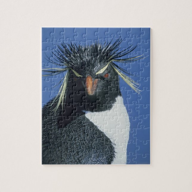 Rockhopper Penguin (Eudyptes chrysocome) Jigsaw Puzzle (Vertical)