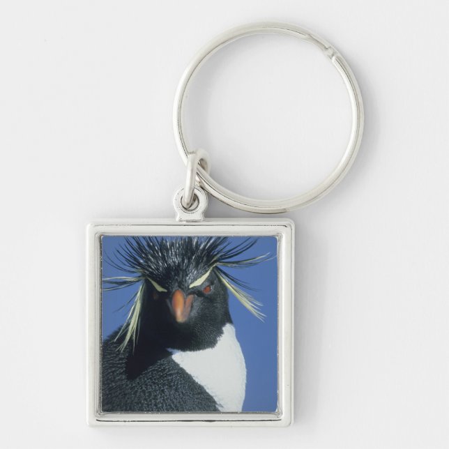 Rockhopper Penguin (Eudyptes chrysocome) Key Ring (Front)