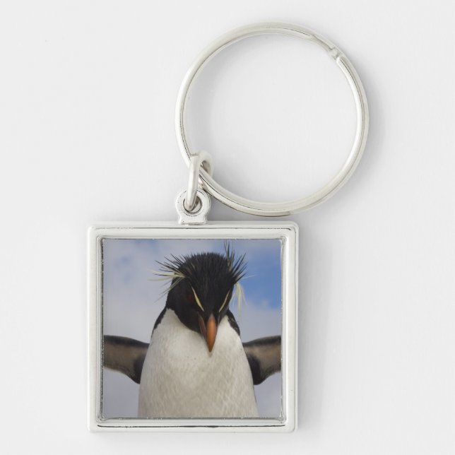 Rockhopper Penguin Eudyptes chrysocome Key Ring (Front)