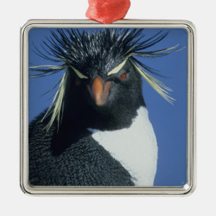 Rockhopper Penguin (Eudyptes chrysocome) Metal Tree Decoration