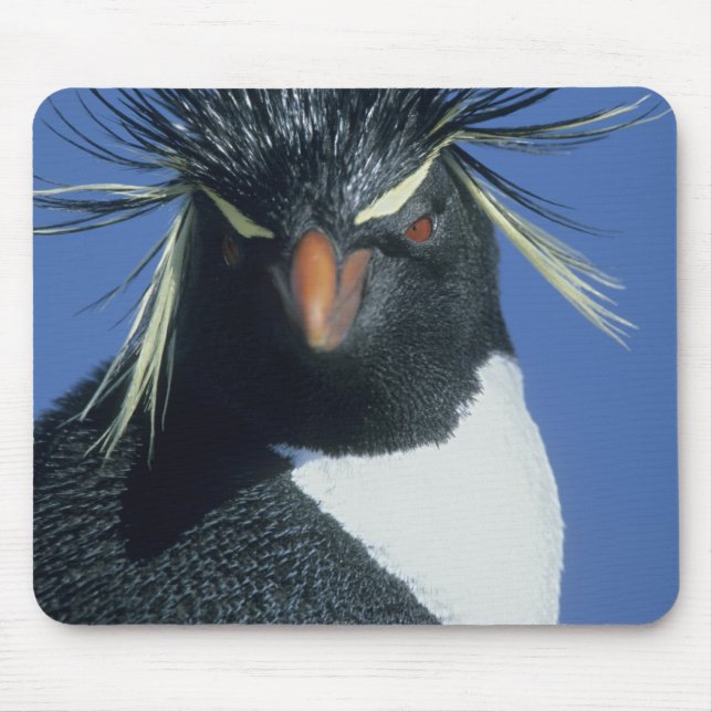 Rockhopper Penguin (Eudyptes chrysocome) Mouse Pad (Front)