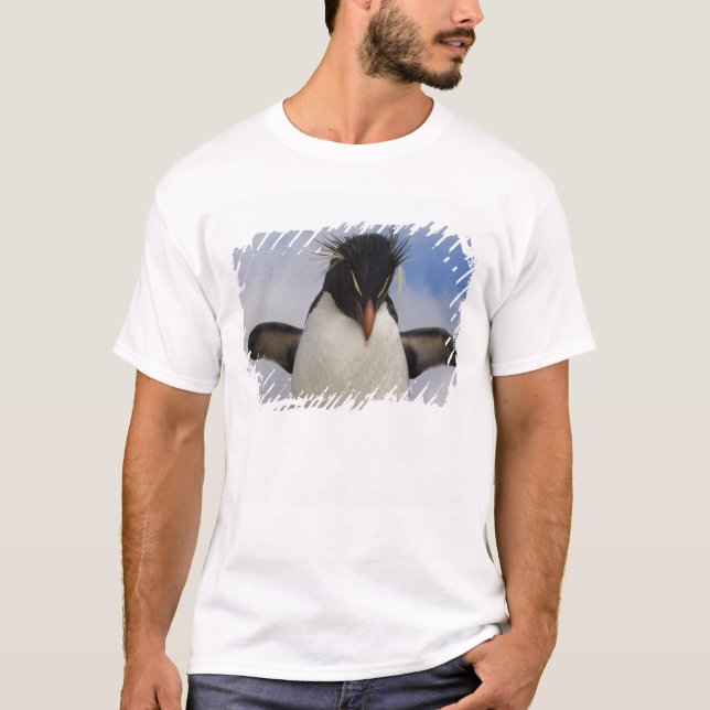 Rockhopper Penguin Eudyptes chrysocome T-Shirt (Front)