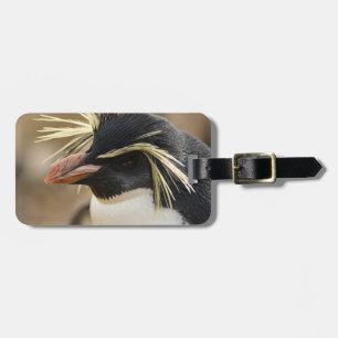 Rockhopper Penguin Luggage Tag